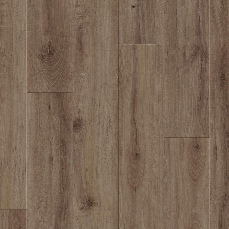 European Oak 2870